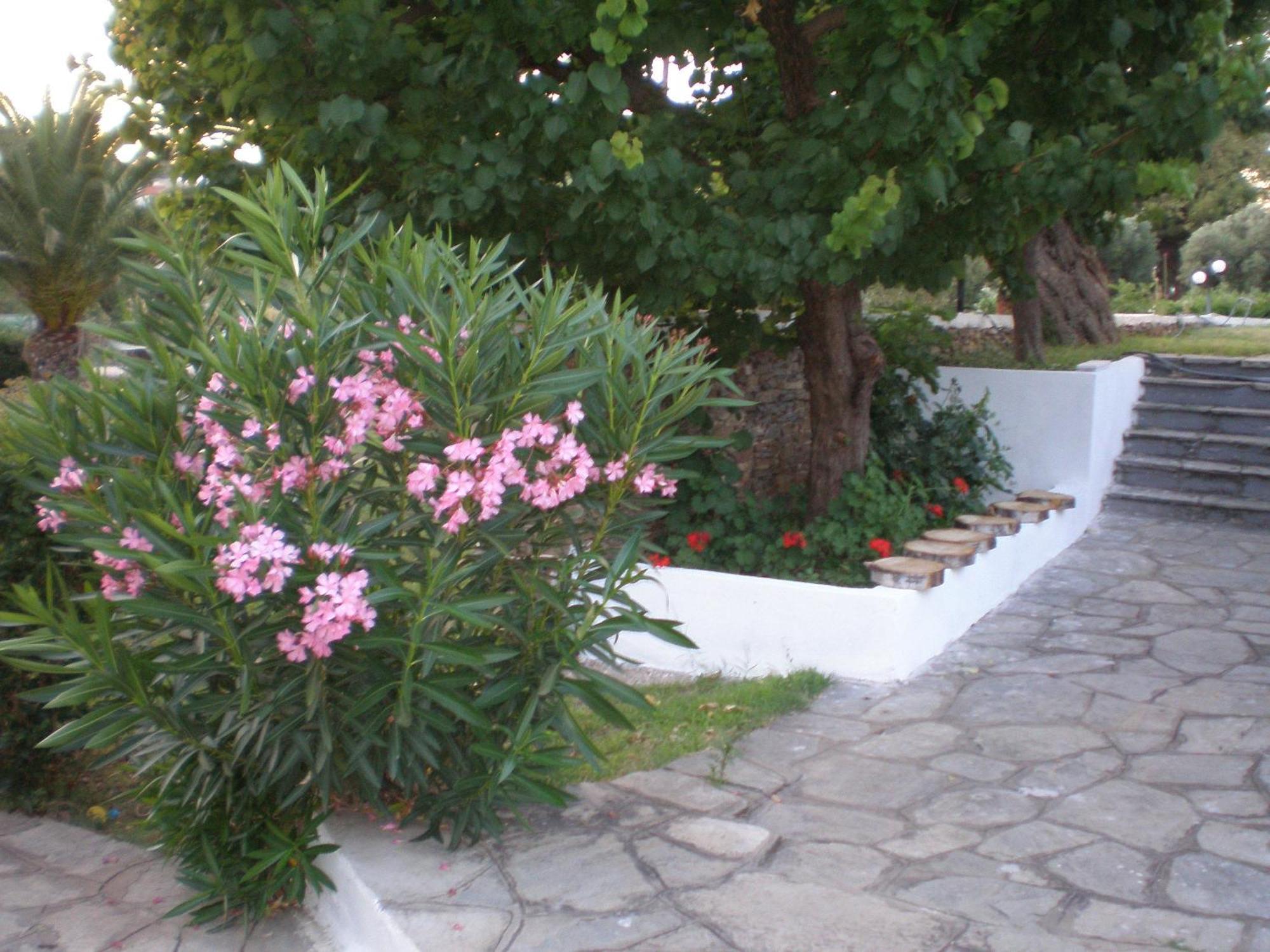 Porto Matina Hotel Metamorfosi  Buitenkant foto